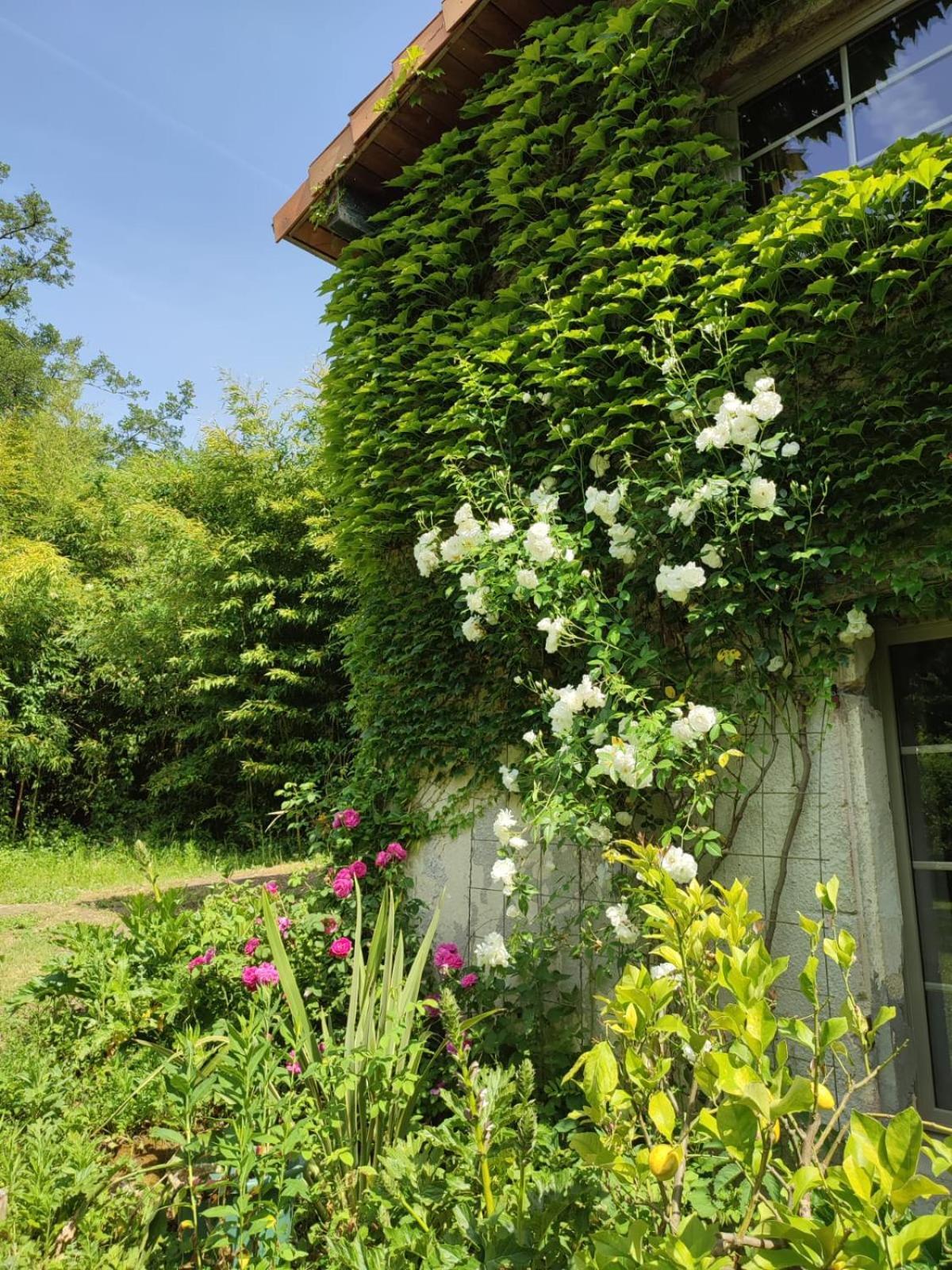 Chambre D'Hotes Le Moulin De Moulis Exterior photo
